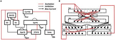 The Effects of Medium Spiny Neuron Morphologcial Changes on Basal Ganglia Network under External Electric Field: A Computational Modeling Study